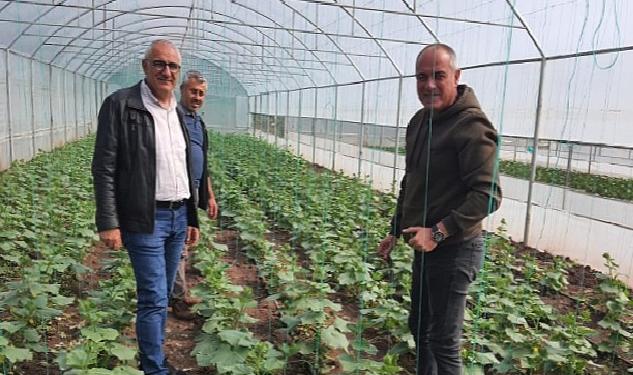 Gemlik Belediyesi’nde organik tarım çalışmaları sürüyor