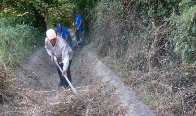 Muğla Büyükşehir’den Muğla Tarımına Destek