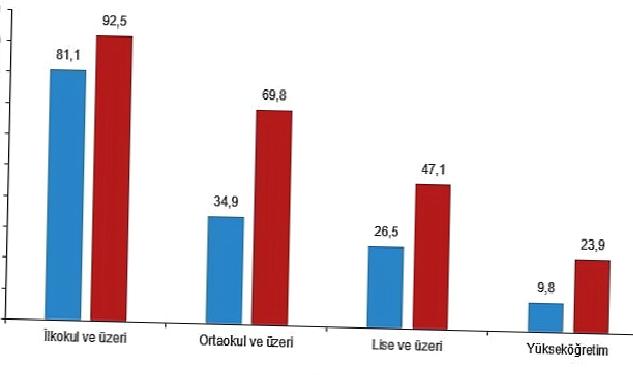 Ulusal Eğitim İstatistikleri, 2022