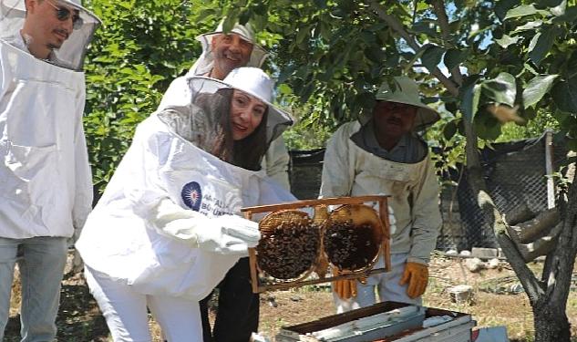 Antalya Büyükşehir kursiyerleri kovan başında arıcılık eğitimi aldı