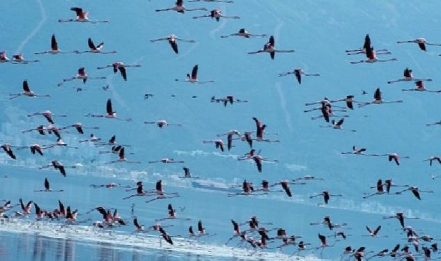 Başkan Soyer Çiğli Arıtma Tesisi’ndeki çalışmaları inceledi İZSU’dan temiz Körfez için tarihi adımlar