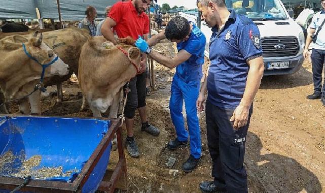 Buca Belediyesi’nde Kurban Bayramı mesaisi