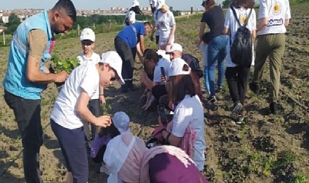 Çocuklar yerel fideleri toprakla buluşturdu