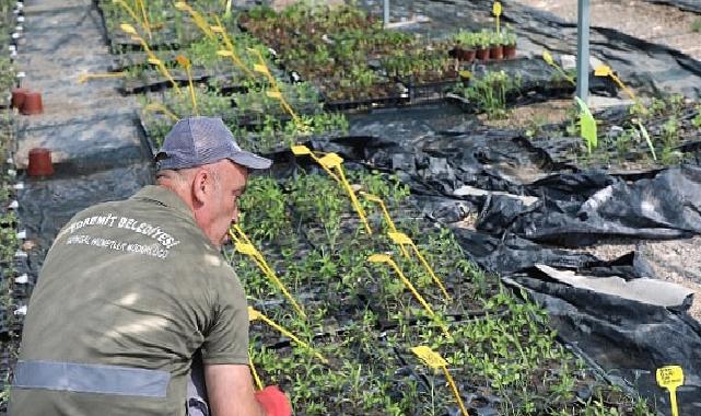 Edremit Belediyesi’nin ATA Tohumu projesi büyüyor