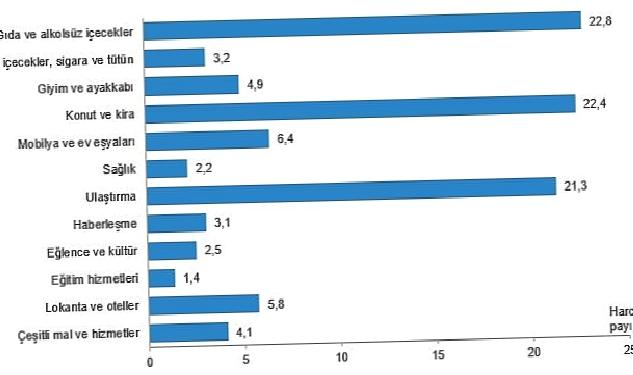 Hanehalkı bütçesinden en fazla pay gıda ve alkolsüz içecek harcamasına ayrıldı