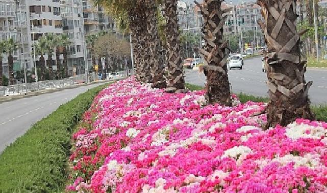 İzmir çiçek açtı