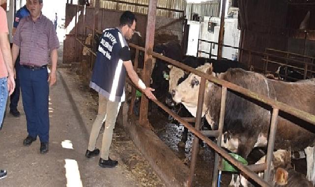 Kartepe’de kurban satışını sıkı denetim 