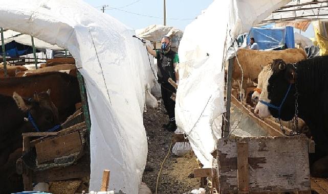 Kurban pazar yerleri ilaçlanıyor