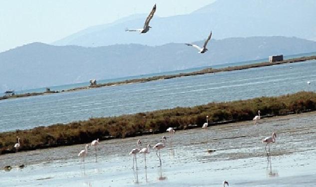 Kuş Cenneti’ne anjiyo: 40 km yatak temizlenecek