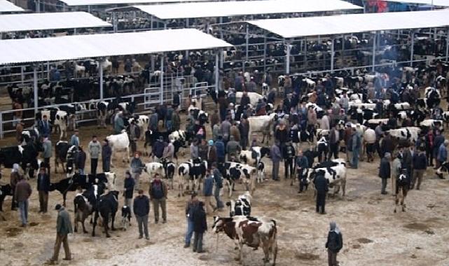 Ödemiş’te kurban satış ve kurban kesim yerleri belli oldu