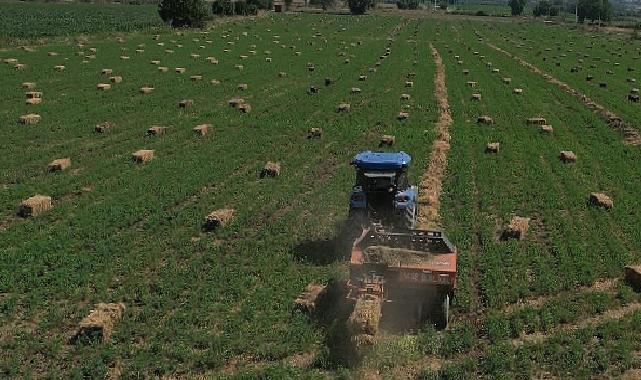 434 Dekar Araziden Elde Edilen Kaba Yem Üreticiye Dağıtılacak