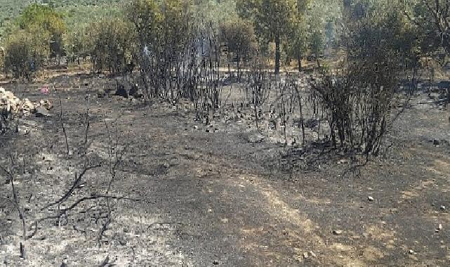 Aydın Büyükşehir Belediyesi İtfaiyesi yangına hızla müdahale etti