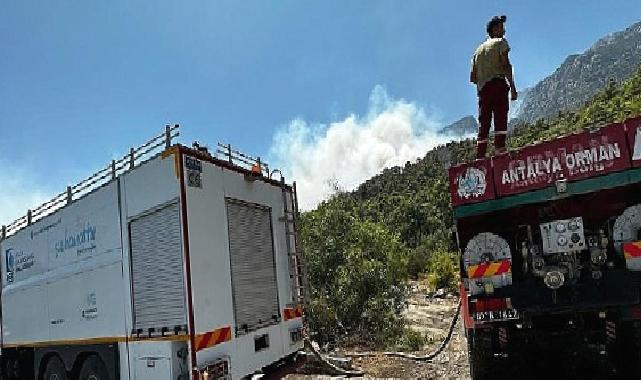 Başkan Böcek Yine ciğerimiz yanıyor