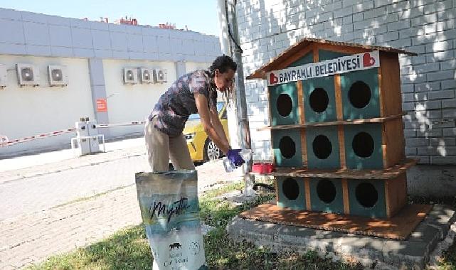 Bayraklı’da can dostlar için ‘bir kap su’ kampanyası