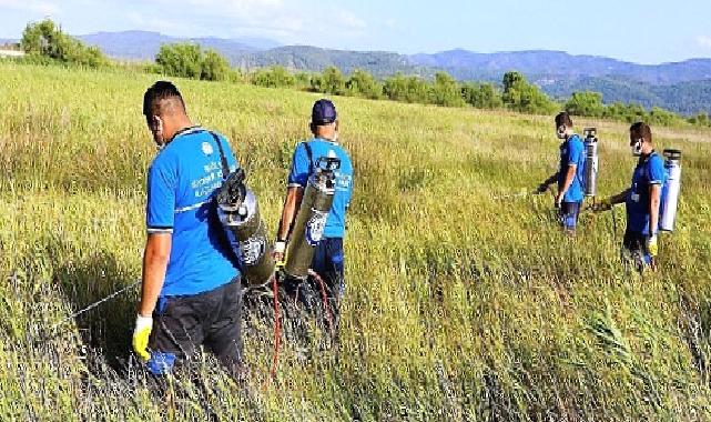 Büyükşehir Vektörle Mücadelede Tüm Birimleri ile Sahada