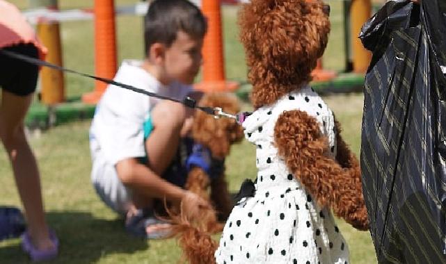 Çeşmeli can dostlar Fest Pati’de buluştu