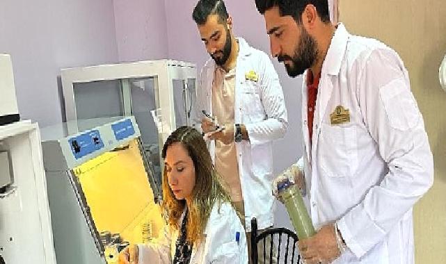 Harran Üniversitesi’nden Bilim Dünyasına Önemli Katkı Sağlayacak Bir Proje