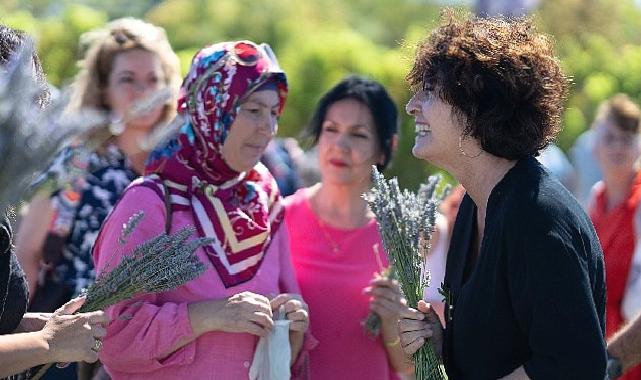 İmece usulü lavanta hasadında dayanışma örneği