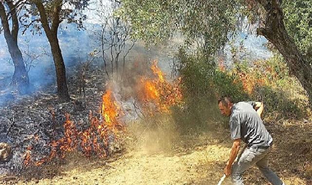 İzmir Kınık’taki yangında Devlet millet el ele verdi