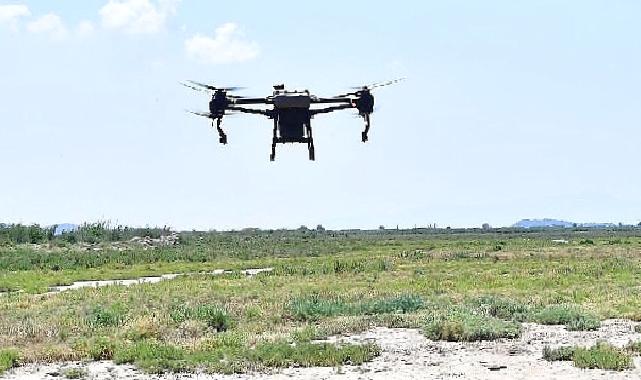 İzmir’de sivrisinek ile dronlu mücadele