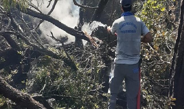 Kemer’deki orman yangınına müdahale sürüyor