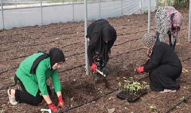 Kocaeli Büyükşehir’den kadın girişimcilere tarımsal destek