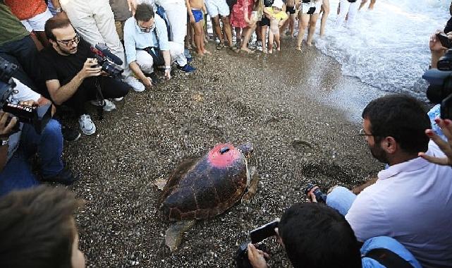 Lara Barut Collection’ın destekleri ile denizle buluşan Caretta Caretta, bir yılda 3000 km yol katetti