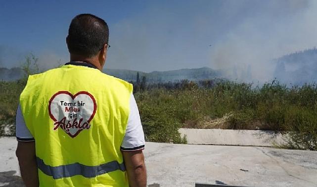 Milas’taki yangına canhıraş mücadele sürüyor