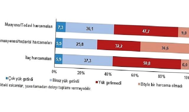 Muayene ve tedavi harcamaları hanelerin yüzde 7,3’üne çok yük getirdi