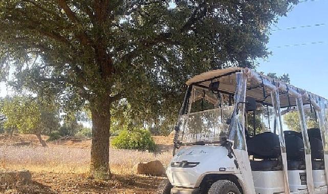 Olivelo Yaşayan Park’ta safari turları yarın başlıyor