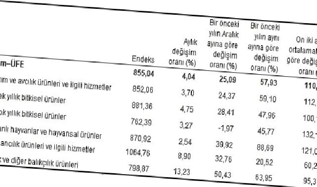 Tarım ürünleri üretici fiyat endeksi (Tarım-ÜFE) yıllık yüzde 57,93, aylık yüzde 4,04 arttı