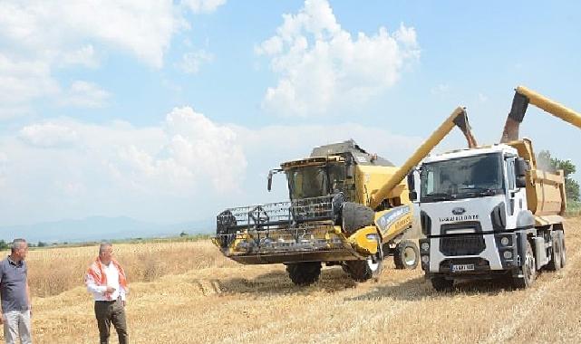 Torbalı Belediyesi Buğday Hasadı