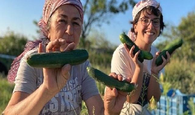 Buğday Derneği; Soframıza gelen zehirlerden 6’sı daha yasaklandı