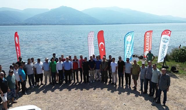 Eşme’de Sapanca gölüne 100 bin sazan salındı 