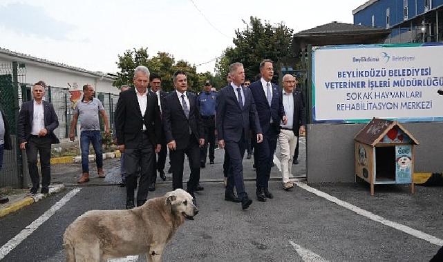 İstanbul Valisi Davut Gül Beylikdüzü’nde İncelemelerde Bulundu