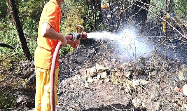 Kemer’de korkutan yangın büyümeden kontrol altına alındı