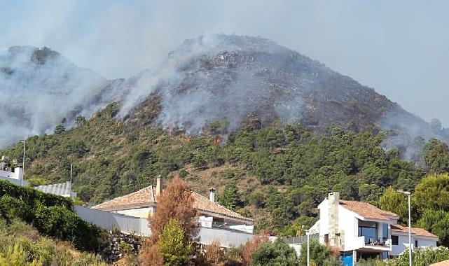 Yazlıkçıların Yüreği Ağzında; Orman Yangınları Konut Sigortasına Talebi Artırdı!