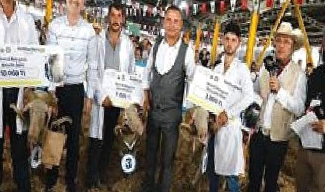 3. Küçükbaş Hayvancılık Festivali Başlıyor