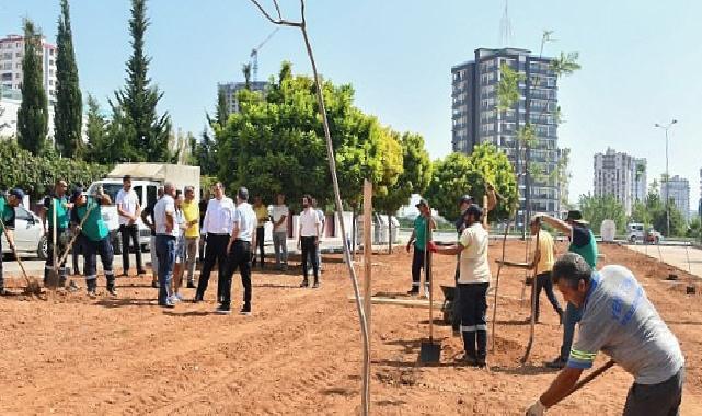 Başkan Özyiğit, “Bir Metre Asfalt Yapıyorsak Onun Yerine de Beş Ağaç Dikmeliyiz”