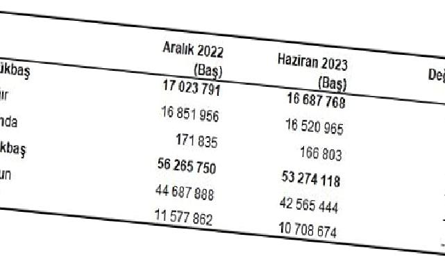 Büyükbaş hayvan sayısı 2023 yılı Haziran ayında 16 milyon 688 bin baş oldu