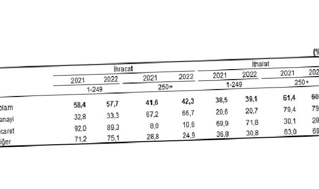 İhracatın yüzde 42,3’ünü, ithalatın ise yüzde 60,9’unu büyük ölçekli girişimler gerçekleştirdi