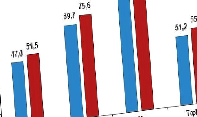 İnternet erişimine sahip girişimlerin oranı yüzde 96,0 oldu