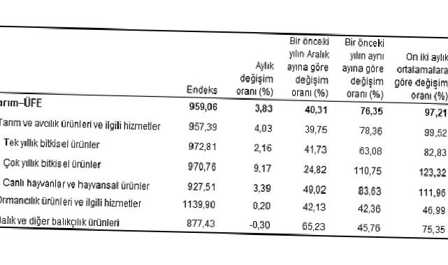 Tarım ürünleri üretici fiyat endeksi (Tarım-ÜFE) yıllık yüzde 76,35, aylık yüzde 3,83 arttı