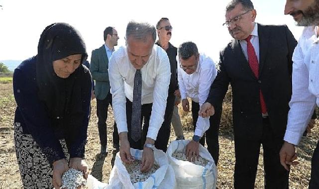 Tarladan Sofraya; Cerrah Kuru Fasulyesi