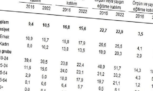 Yetişkinlerin örgün veya yaygın eğitime katılım oranı yüzde 22,9 oldu