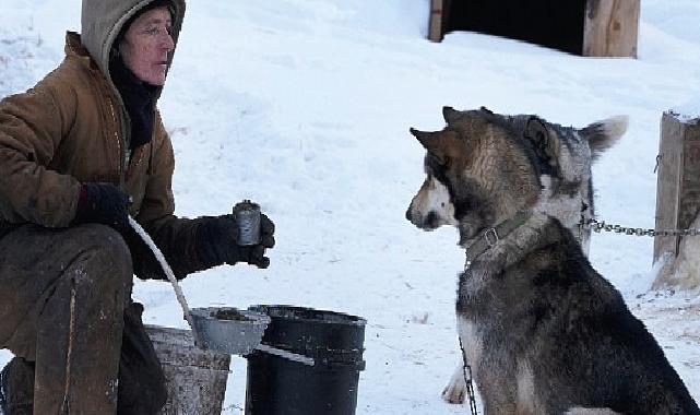 Alaska’yı BBC Earth ile Keşfedin