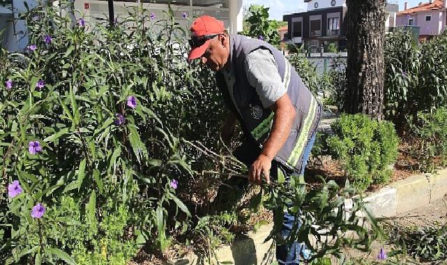 Burhaniye’nin Parklarında Yaz Sonu Bakımı Yapılıyor