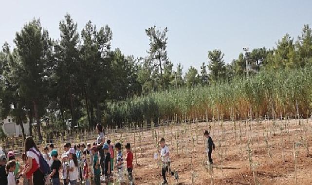 Büyükşehir Belediyesi 100. Yıl Hatıra Ormanı oluşturdu