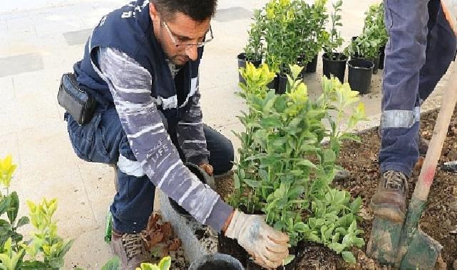 Büyükşehir’den Ulaşlı Camii’ne estetik meydan