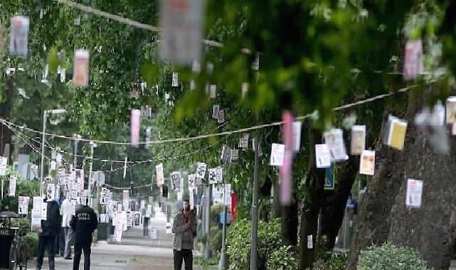 Cumhuriyet Bulvarı’nda Ağaçlar Kitap Açacak